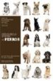 ENCICLOPEDIA MUNDIAL DE PERROS di VV.AA. 