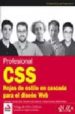 PROFESIONAL CSS: HOJAS DE ESTILO EN CASCADA PARA EL DISEO WEB (A NAYA MULTIMEDIA/WROX (ANAYA MULTIMEDIA) di VV.AA. 