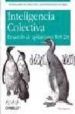 INTELIGENCIA COLECTIVA: DESARROLLO DE APLICACIONES WEB 2.0 de SEGARAN, TOBY 