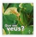 QUE EM VEUS? di FRATTINI, STEPHANE 