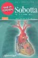 SOBOTTA: ATLAS DE ANATOMIA HUMANA (T. II): TRONCO, VISCERAS Y MIE MBRO INFERIOR (22 ED) di PUTZ, REINHARD V.  PABST, REINHARD 