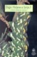 ORUGAS Y MARIPOSAS DE EUROPA (T. 5) di GOMEZ DE AIZPURUA, CARLOS 