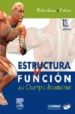 ESTRUCTURA Y FUNCION DEL CUERPO HUMANO (CD-ROM + EVOLVE) 13 ED. di THIBODEAU, G.A  PATTON, K.T. 