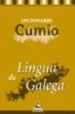 DICIONARIO CUMIO DA LINGUA GALEGA GRANDE di VV.AA. 