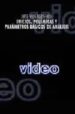 ARTE VIDEOGRAFICO: INICIOS, POLEMICAS Y PARAMETROS BASICOS DE ANA LISIS di VV.AA