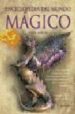 ENCICLOPEDIA DEL MUNDO MAGICO de ALLEN, JUDY 