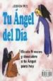 TU ANGEL DEL DIA GIRALO 9 VECES Y DESCUBRE A TU ANGEL PARA HOY de TATE, JESSICA 