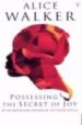 POSSESSING THE SECRET OF JOY de WALKER, ALICE 