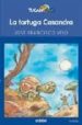 LA TORTUGA CASANDRA de VISO SANCHEZ, JOSE FRANCISCO 