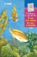 EL COLOR DE LA AMISTAD = THE COLOR OF FRIENDSHIP de DUBOVOY, SILVIA 
