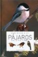 COMO ATRAER A LOS PAJAROS A SU BALCON JARDIN de GISMONDI, ELISABETTA 