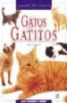 GATOS Y GATITOS de DARBYSHIRE, LYDIA 