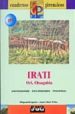 CUADERNOS PIRENAICOS: IRATI (ORI, OTSAGABIA) di ANGULO, MIGUEL  FELIU, JUAN MARI 
