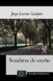 SOMBRAS DE OTOO di LARENA CASTEJON, JORGE 