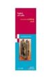 ARQUEOLOGIA MEDIEVAL URBANA: LAS MURALLAS DE MADRID de MORENO ESPERT, ALICIA  CAMPOS BORREGO, JOSE ANTONIO  ECHEVARRIA, JUAN JOSE 