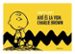 AIXI ES LA VIDA CHARLIE BROWN de SCHULZ, CHARLES M. 