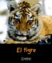 EL TIGRE (QUIEN ERES? ANIMALES) de MONTARDRE, HELENE 