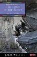 THE LORD OF THE RINGS: TWO TOWERS: VOL 2 de TOLKIEN, J.R.R. 
