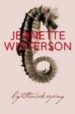 LIGHTHOUSEKEEPING de WINTERSON, JEANETTE 