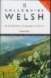 COLLOQUIAL WELSH: A COMPLETE LANGUAGE COURSE (CASSETTE) di KING, GARETH 