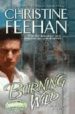 BURNING WILD di FEEHAN, CHRISTINE 