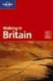 WALKING IN BRITAIN (WALKING GUIDES LONELY PLANET) (3RD ED.) di VV.AA. 