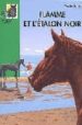 FLAMME ET L ETALON NOIR de FARLEY, WALTER 