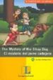 THE MYSTERY OF THE STRAY DOG = EL MISTERIO DEL PERRO CALLEJERO (E D. BILINGE INGLES-ESPAOL) (JUNIOR DETECTIVE: A PARTIR DE 10 AOS) di VV.AA. 