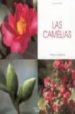 LAS CAMELIAS: CULTIVO Y CUIDADOS di BERETTA, DANIELA 