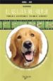 EL GOLDEN RETRIEVER (INCLUYE VIDEO) de ROSSI, VALERIA 
