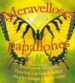 MERAVELLOSES PAPALLONES di UNSTEAD, SUE 