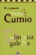 DICCIONARIO DE PETO CUMIO DA LINGUA GALEGA di VV.AA. 
