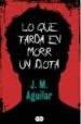 LO QUE TARDA EN MORIR UN IDIOTA de AGUILAR, M.J. 