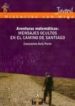 AVENTURAS MATEMATICAS: MENSAJES OCULTOS EN EL CAMINO DE SANTIAGO di AVILA PARDO, CONSTANTINO 