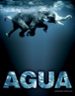 AGUA de ARAUJO, JOAQUIN 