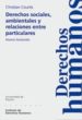 DERECHOS SOCIALES, AMBIENTALES Y RELACIONES ENTRE PARTICULARES de COURTIS, CHRISTIAN 