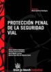 PROTECCION PENAL DE LA SEGURIDAD VIAL di VV.AA. 