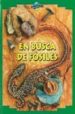 EN BUSCA DE FOSILES de GREEN, TAMARA 