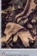 THE COMPLETE SHORT NOVELS de LAWRENCE, D.H. 