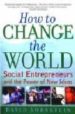 HOW TO CHANGE THE WORLD: SOCIAL ENTREPRENEURS AND THE POWER OF NE W IDEAS de BORNSTEIN, DAVID 