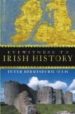 EYEWITNESS TO IRISH HISTORY de ELLIS, PETER BERRESFORD 