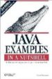 JAVA EXAMPLES IN A NUTSHELL di FLANAGAN, DAVID 