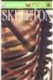 SKELETON (DK EYEWITNESS GUIDES) de PARKER, STEVE 