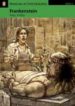 FRANKENSTEIN: LEVEL 3 (PENGUIN LONGMAN ACTIVE READING) (INCLUYE C D-ROM) di SHELLEY, MARY 