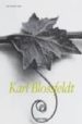 KARL BLOSSFELDT 1865-1932 (TASCHEN SALE) de ADAM, HANS CHRISTIAN 