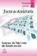 CUERPO TECNICO DE GRADO MEDIO DE LA JUNTA DE ANDALUCIA. TEMARIO C OMUN: VOLUMEN II di VV.AA. 