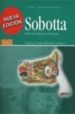 SOBOTTA: ATLAS DE ANATOMIA HUMANA (T. I): CABEZA, CUELLO, MIEMBRO SUPERIOR (22 ED.) di PUTZ, REINHARD V.  PABST, REINHARD 