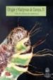 ORUGAS Y MARIPOSAS DE EUROPA (T. 4) de GOMEZ DE AIZPURUA, CARLOS 