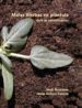 MALAS HIERBAS EN PLANTULA (GUIA DE IDENTIFICACION) di VV.AA. 