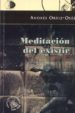 MEDITACION DEL EXISTIR di ORTIZ-OSES, ANDRES 